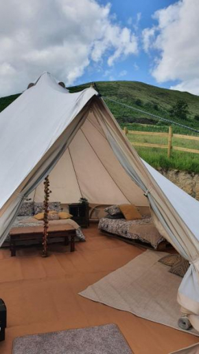 Calon Y Goedwig Glamping